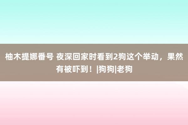 柚木提娜番号 夜深回家时看到2狗这个举动，果然有被吓到！|狗狗|老狗