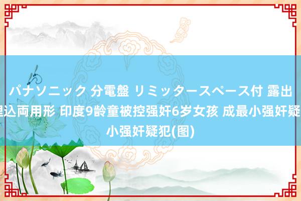 パナソニック 分電盤 リミッタースペース付 露出・半埋込両用形 印度9龄童被控强奸6岁女孩 成最小强奸疑犯(图)