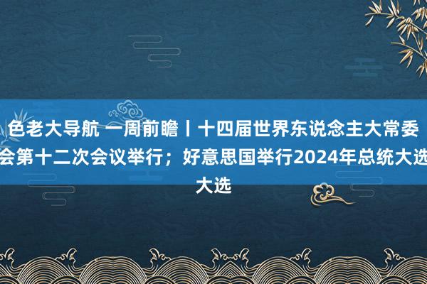 色老大导航 一周前瞻丨十四届世界东说念主大常委会第十二次会议举行；好意思国举行2024年总统大选